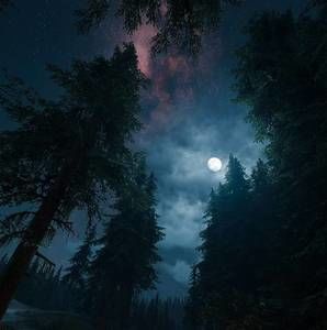 Meet your Posher, Riley